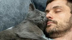 Hoe een kat haar liefde toont: als ze dit doet, ben jij haar allerliefste mens