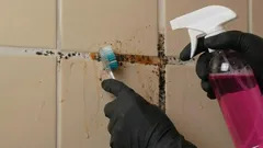 Hoe kom je van schimmel in de voegen af en herstel je de oorspronkelijke uitstraling